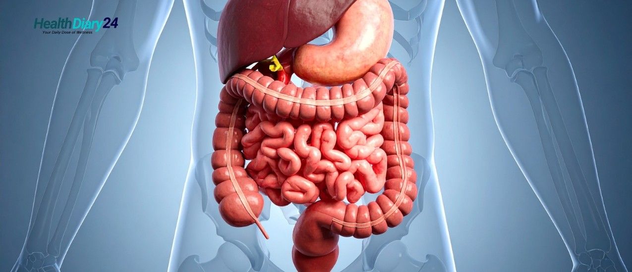 Ayurvedic tips for better digestion after meals