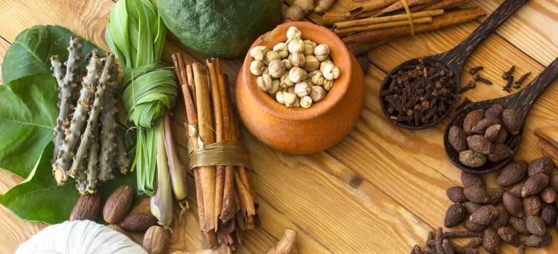 Top Ayurveda Herbs