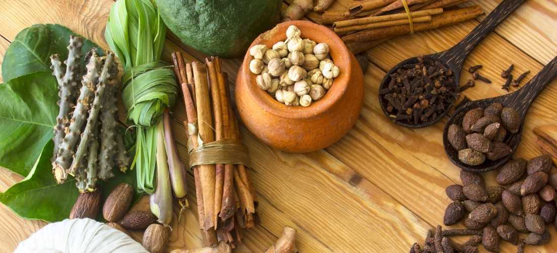 herbs you can add to meals for quick protection