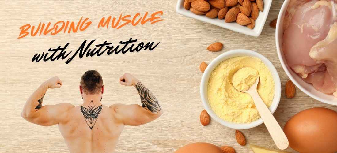 Building Muscle with Nutrition