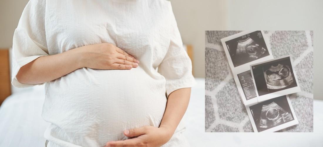 Pregnancy Nutrition & Health