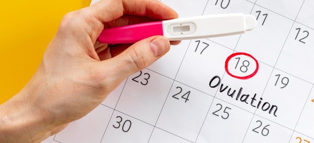 Calculate ovulation days accurately