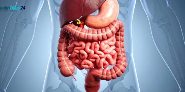 Ayurvedic tips for better digestion after meals