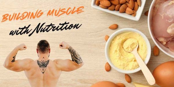 Building Muscle with Nutrition