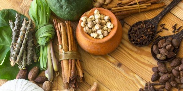 Top Ayurveda Herbs