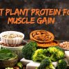 Best Plant Protein for Muscle Gain